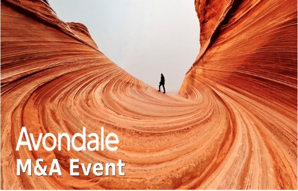 Avondale Corporate Limited offer