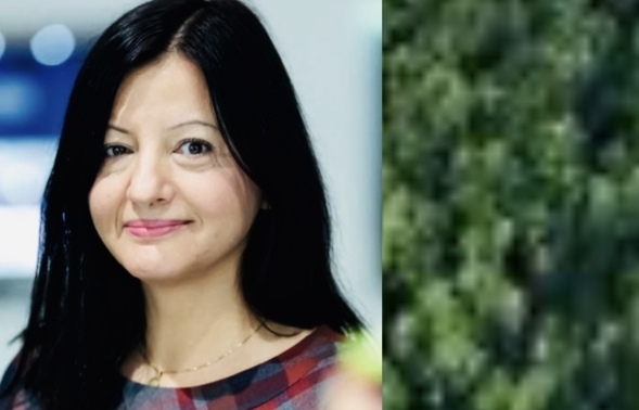 Dr Mihaela Bucur logo