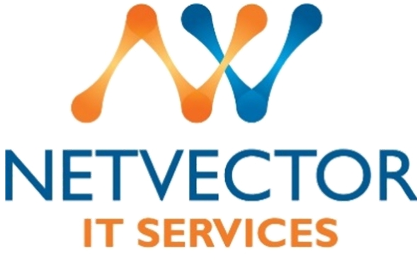 Netvector IT Services offer