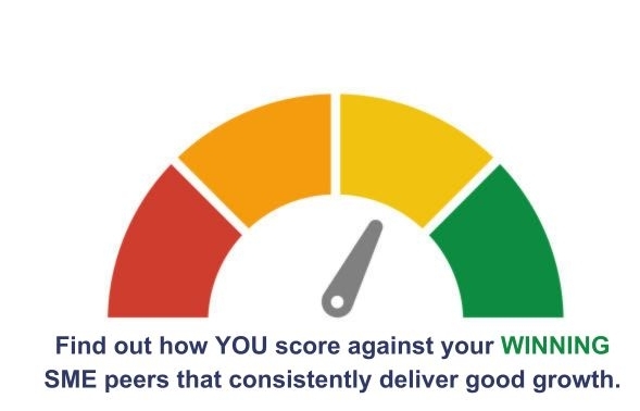 "Benchmark Your Business" Assessment & Complimentary Mentoring session (60mins)