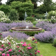 Summer Stroll in the Garden & High Tea at Borde Hill Garden