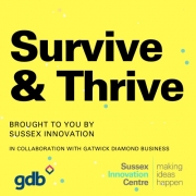 gdb/SINC: Survive & Thrive: Building your social media presence