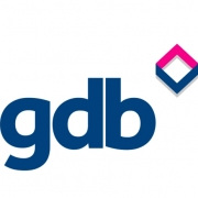 gdb January 2021 Members Meeting with Reigate & Banstead Borough Council