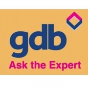 'Ask the Expert' - Making Best Use of Gatwick - Bringing the Northern Runway into Routine Use