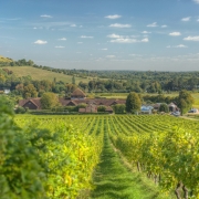 gdb January Members Meeting at Denbies Wine Estate with Harwoods Jaguar Land Rover Crawley