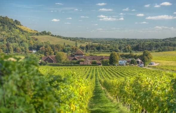 March Educational Seminar