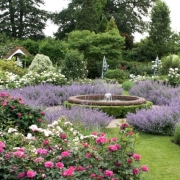 Express Lunch Networking at Borde Hill Gardens