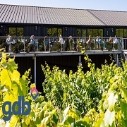 gdb Tour, Tasting & Buffet Lunch at Bolney Wine Estate