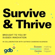 gdb/SINC Survive & Thrive: Making & Maintaining Sales