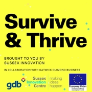 Survive & Thrive: Female Founders