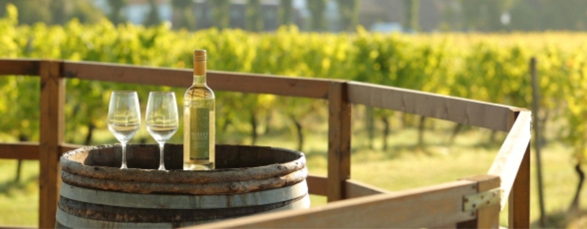 NEWS: Denbies Wine Estate receives King's Award for Enterprise